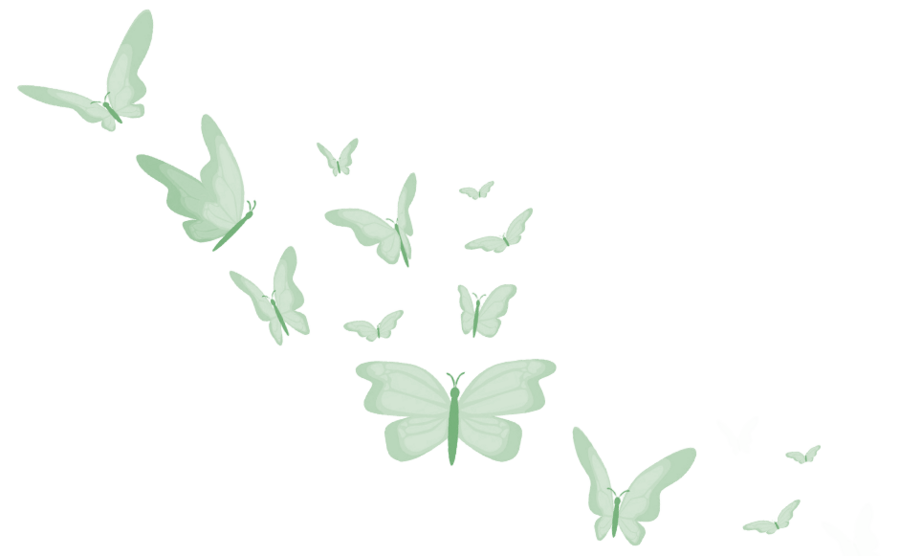 Ilustração decorativa de borboletas no canto inferior esquerdo
